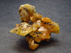 Wulfenite Cluster From Namibia - 1.3"