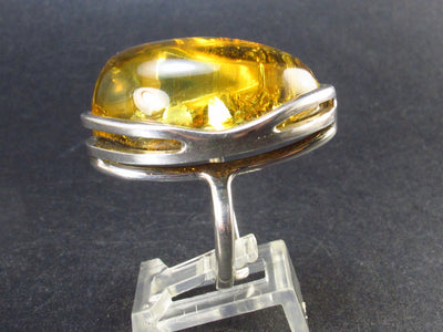 Large Natural Green Baltic Amber Oval Shaped 925 Silver Ring - 13.8 Grams - Size Adjustable