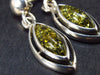 Nature’s Time Capsule!! Natural Green Color Baltic Amber Dangle 925 Silver Earrings - 3.0 Grams