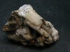 Natrolite Cluster from Canada - 1.5"