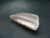 Large Red Lemurian Seed Quartz Crystal From Brazil - 2.1" - 35.8 Grams