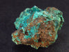 Very Nice Dioptase Cluster from Congo - 1.8" - 47.8 Grams