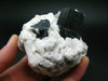Fine Black Tourmaline Cluster From Pakistan - 2.8" - 201.1 Grams