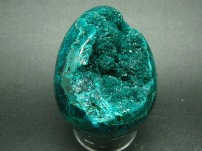 Very Rare Large Dioptase Egg From Congo - 2.4"