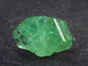 Gem Tsavorite Tsavolite Garnet Crystal From Tanzania - 27.1 Carats - 0.8"