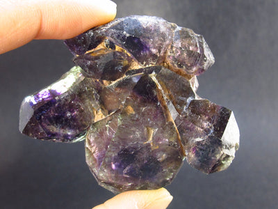 Elestial Amethyst Crystal Sceptered on Thin Stem from Zimbabwe - 64.7 Grams - 2.4"