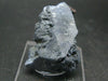 Large Benitoite Crystal From California with Neptunite - 105 Carats - 1.4"