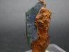 Vivianite Crystal From Bolivia - 1.7"