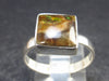 Ammolite Amolite Sterling Silver Ring From Canada - 2.7 Grams - Size 8.25
